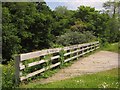 Rails and platform, Saltmill Park