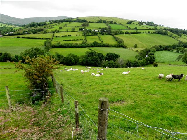 Lower Barnes Townland © Kenneth Allen Cc-by-sa 2.0 :: Geograph Ireland