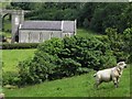 Badoney Church of Ireland (side view)