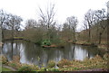 Lake by the Basingstoke Canal