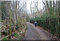 Track, Howfield Wood Farm