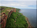 NT9758 : Looking north along the sea cliffs near Maryfield by Graham Robson