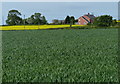 Farmland near Barlestone