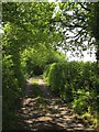 Dirty Lane, Carkeel