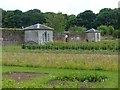 Stackpole Walled Gardens (1)