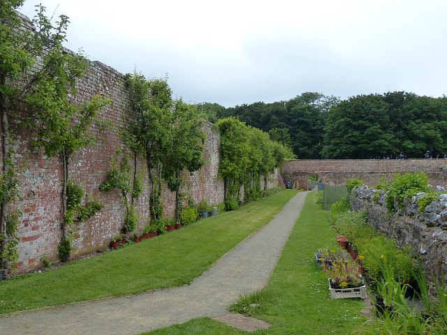 Stackpole Walled Gardens (2)