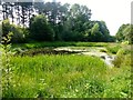 Pond Beside Cycle Route