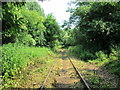 SJ2724 : Disused railway line near Llynclys by David Weston