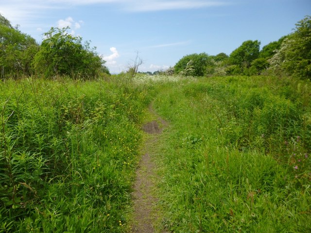 Footpath above the shore