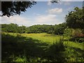 Meadow north of Lee Mill