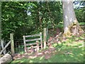 Llwybr Cyhoeddus Maes-pant / Maes-pant public footpath