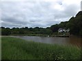 Houses at Tuckermarsh Quay