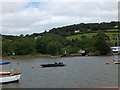 Abandoned houseboats at Weir Quay