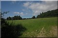 Field below Stone Wood