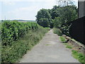 Footpath - Wellington Road