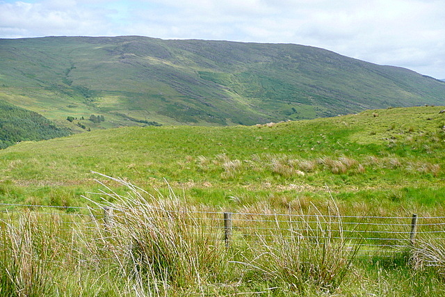 Welcome to Co. Cork © Graham Horn :: Geograph Britain and Ireland