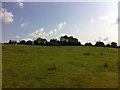 Farmland near Hanging Houghton