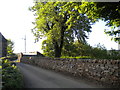 Lane near east end of Longnor