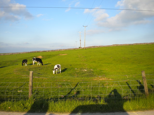 Pasture, Upper Oldhams Farm