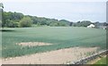 Farmland north of Burniston