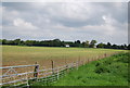 Farmland near Harvel