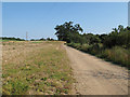 Bridleway near Park Hall, Great Bardfield