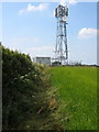 SP6652 : Phone mast in a field by Philip Jeffrey