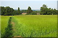 Footpath into Bradden