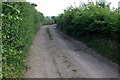 Bridleway to Slapton