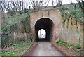 Railway bridge, Whitehall Rd