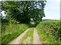 Green Bridleway Near Longridge