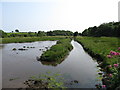 Stream entering  Castleward Bay from the south