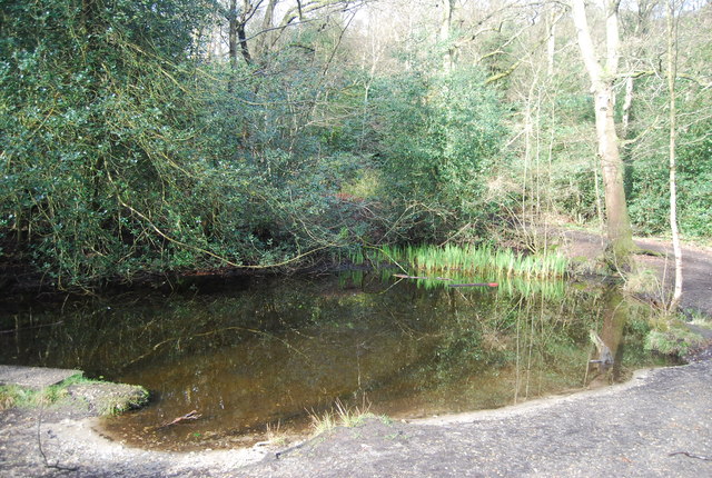 Pond, Rowhill Nature Reserve © N Chadwick cc-by-sa/2.0 :: Geograph ...