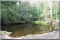 Pond, Rowhill Nature Reserve