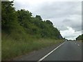 A shallow wooded cutting for the A303 at Maperton Ridge