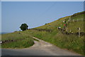 Horses grazing on Old Lindley Moor