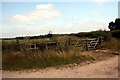 SK5777 : Field gate  near Castle Farm by Graham Hogg