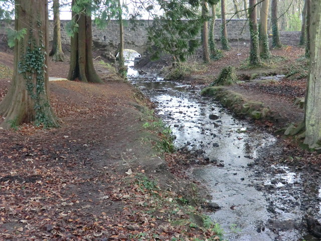 Crodaun Stream meets tributary by Castletown House
