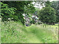 The sylvan setting of Green Row Cottages at Castleward