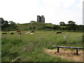 Cattle on rich grassland below Audley