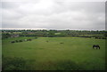 Farmland, Hamsell Mead Farm