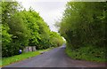 R3977 : The L4104 road near Finanagh, Co. Clare by P L Chadwick