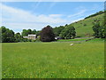 Farmland and woodland around Williamston