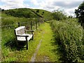 Seat along the riverside path, Dunnamore