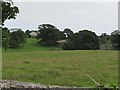 J5650 : View across parkland from the demesne wall of Castleward by Eric Jones