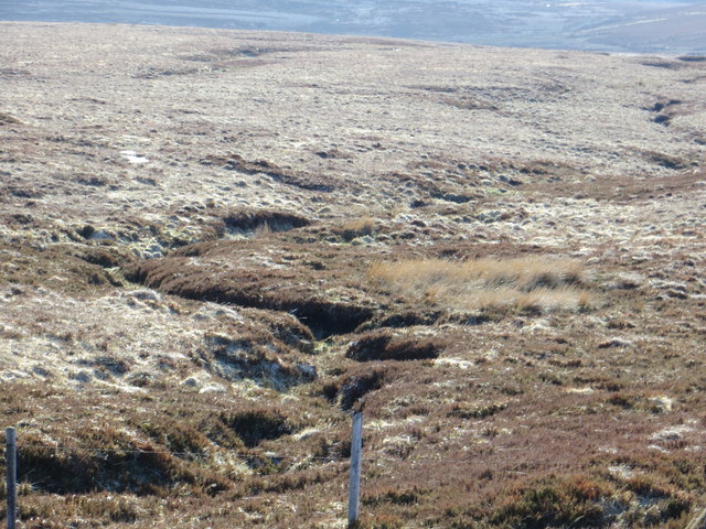 Bog tributary of the Meadow Brook... © jwd :: Geograph Ireland