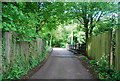 Footpath off Rhododendron Avenue