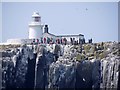 NU2135 : Farewell to Inner Farne by Andrew Curtis