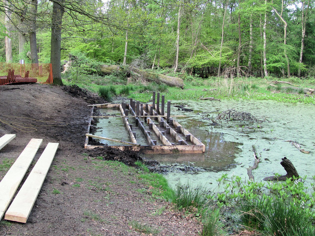 Constructing a new platform at Clickmere Pond (May 2010)