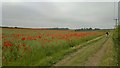 Archaeological Way out of Whitwell